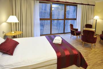 Фото номера Двухместный номер Делюкс с 1 кроватью Отель Hotel Mir-Jan SPA г. Лёндек-Здруй 3
